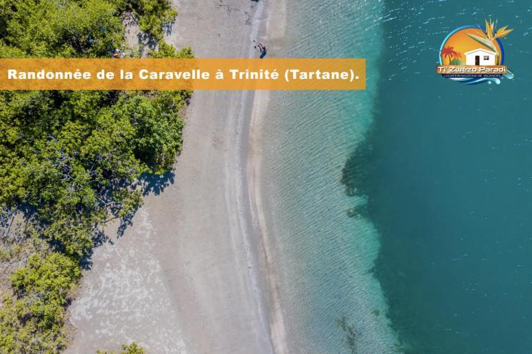 F3 Hibiscus - Piscine Chauffee - Vue Mer - 9 Min De La Plage - Ti Zwezo Paradi Ла-Трініте Екстер'єр фото
