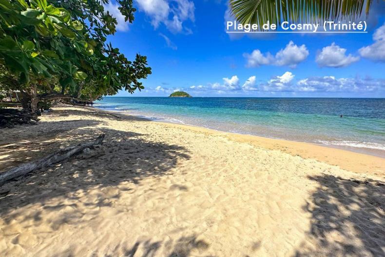 F3 Hibiscus - Piscine Chauffee - Vue Mer - 9 Min De La Plage - Ti Zwezo Paradi Ла-Трініте Екстер'єр фото