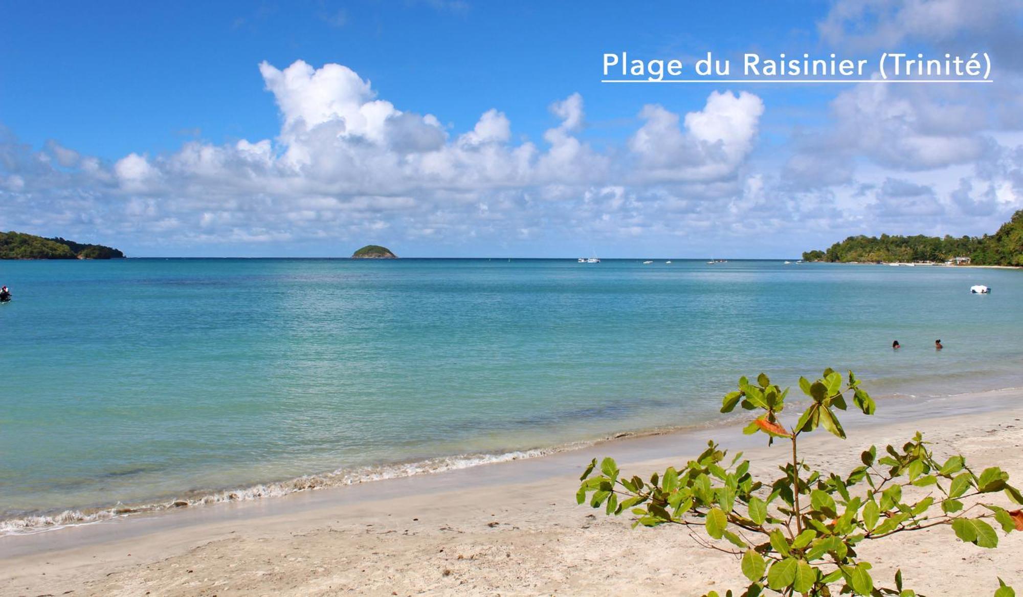 F3 Hibiscus - Piscine Chauffee - Vue Mer - 9 Min De La Plage - Ti Zwezo Paradi Ла-Трініте Екстер'єр фото